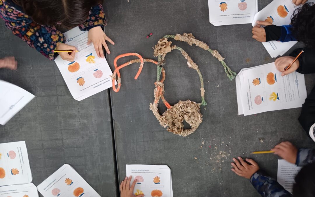 Comienza una nueva edición del programa educativo para acercar a escolares la restauración de los hábitats marinos profundos