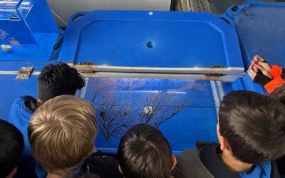 Finaliza el programa educativo del proyecto LIFE ECOREST con más de 1.000 participantes
