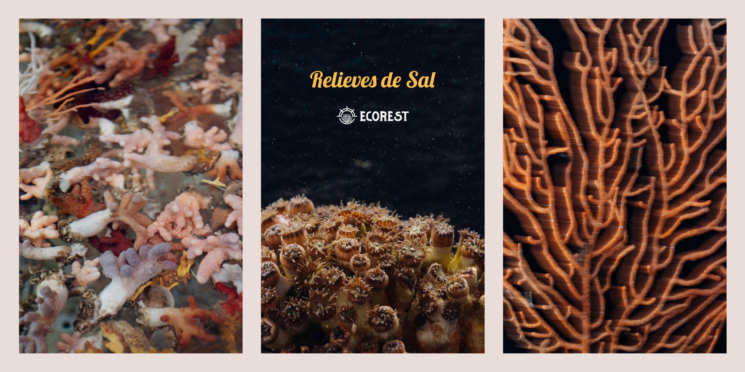 La exposición “Relieves de Sal” nace como un recorrido visual por la belleza, la fragilidad y el componente humano de la recuperación de los hábitats marinos profundos del Mediterráneo. Su autora, Marion Payr, es fotógrafa y narradora visual. Su trabajo explora la relación entre las personas y la naturaleza